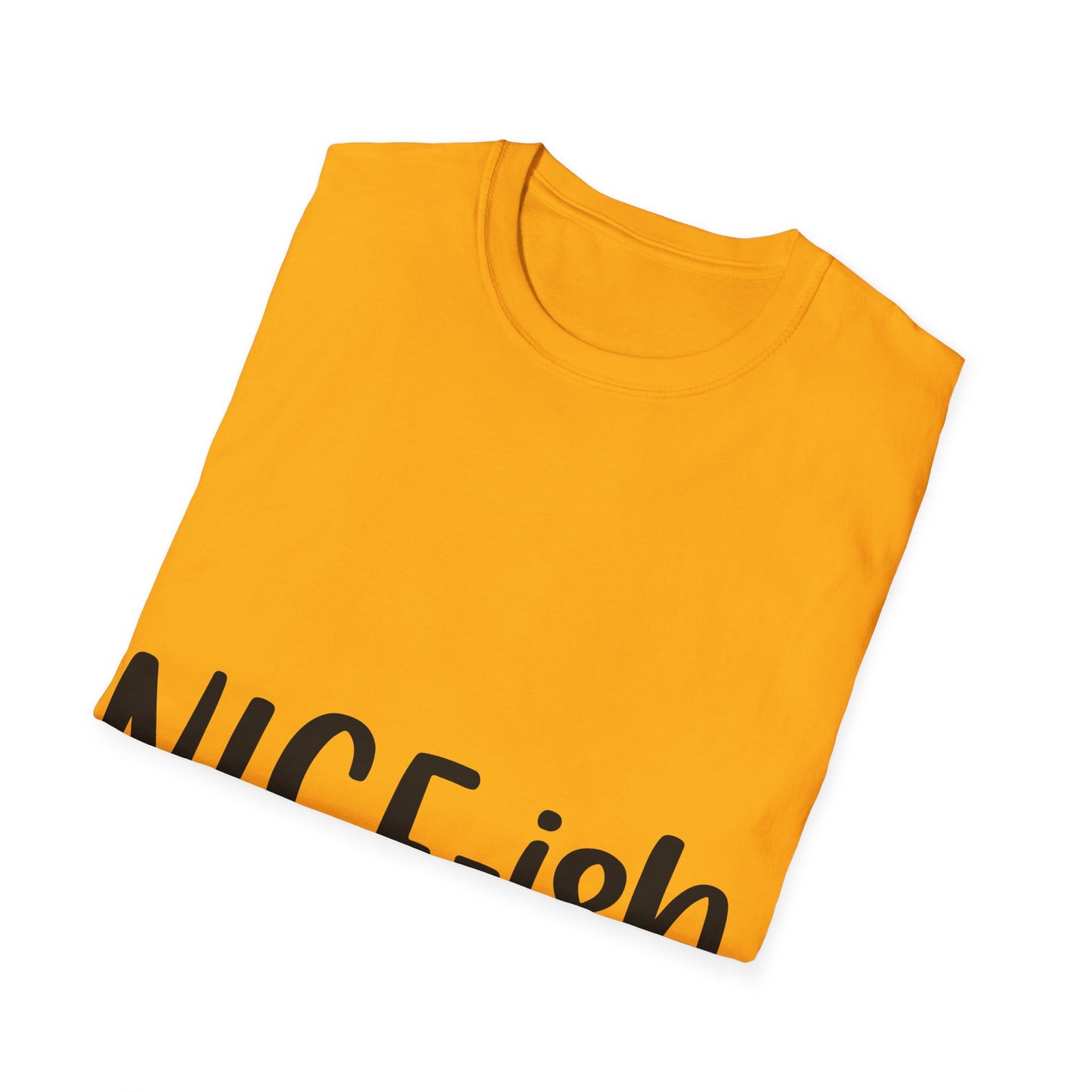 Nice-ish Unisex Softstyle T-Shirt