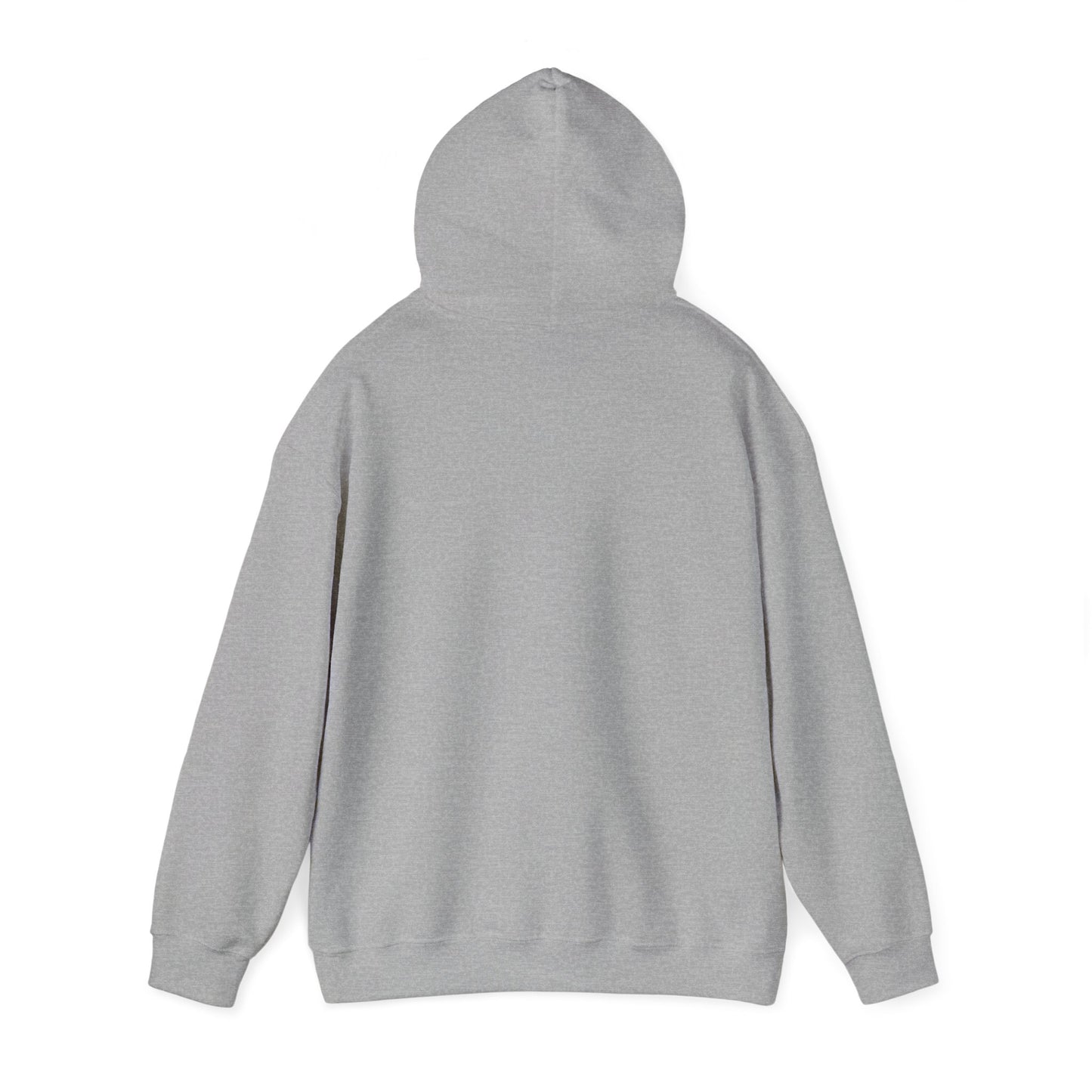 New Start Unisex Heavy Blend™ Hooded Sweatshirt